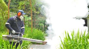 Best Pest Exclusion Services  in Lake Panasoffkee, FL